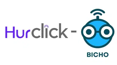 Bicho Logo